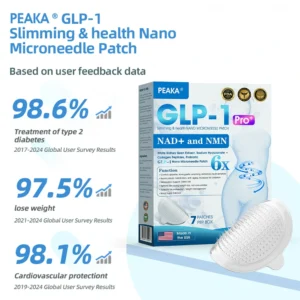 NANO MICRONEEDLE PATCH