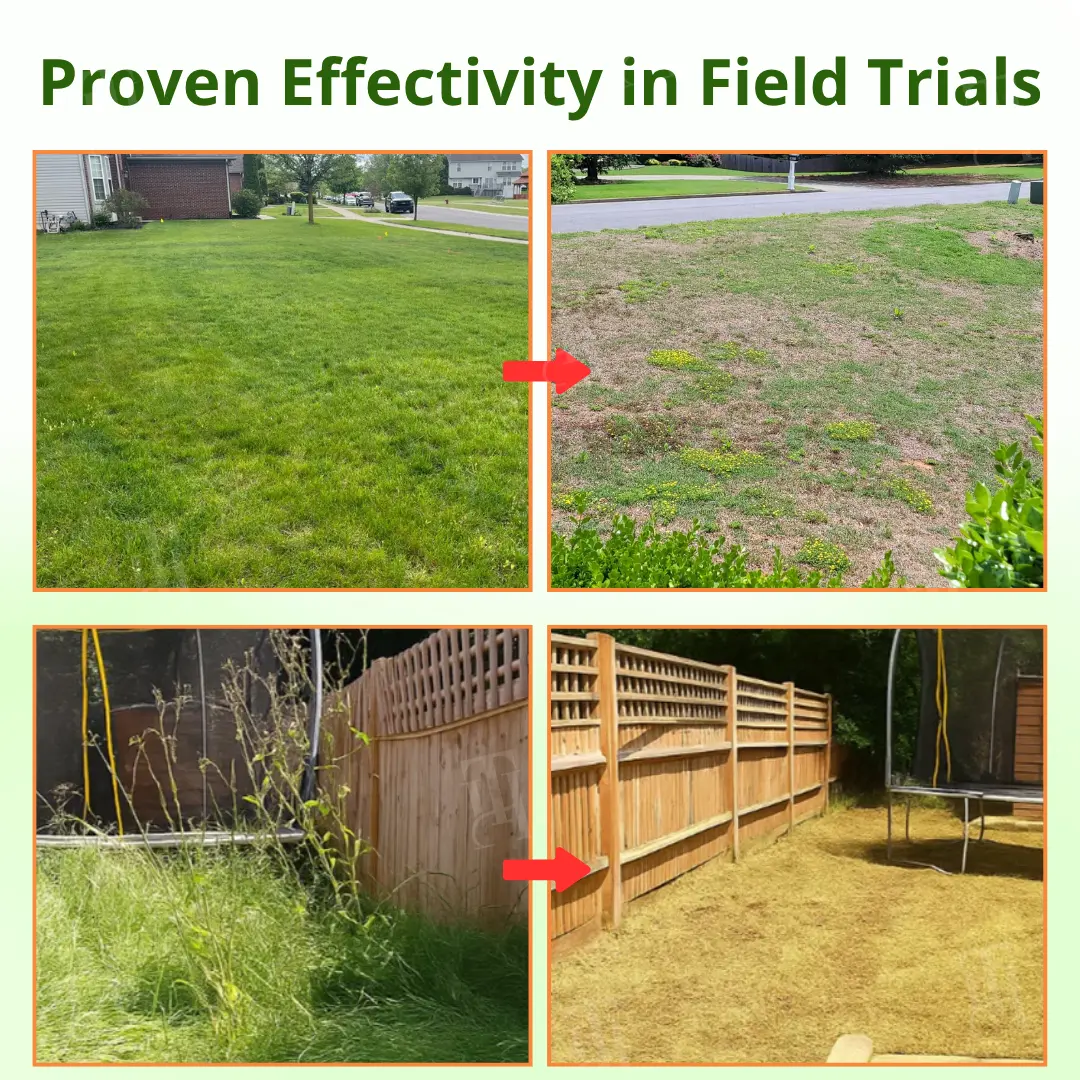 Cyclosinone Herbicide Granules - Image 7