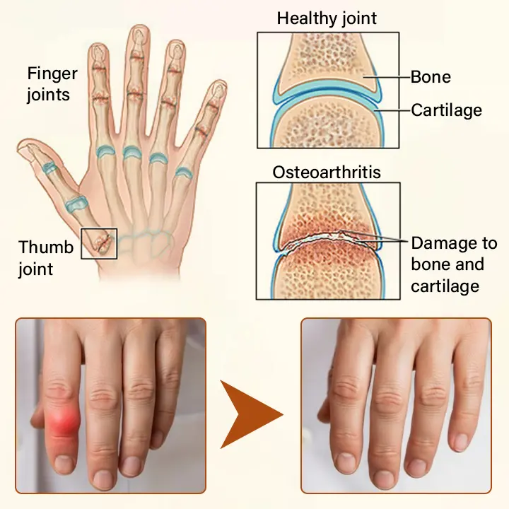 Joint Cream - Image 8