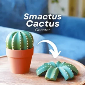 Funny 3D Printed Cactus Holder