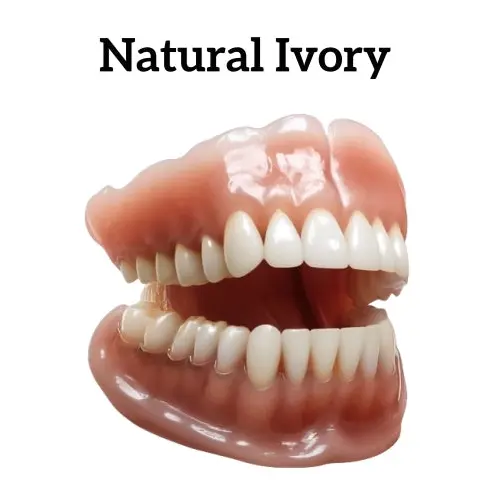 🧡Premium Advanced Customized Full Denture Set 🧡 - Image 11