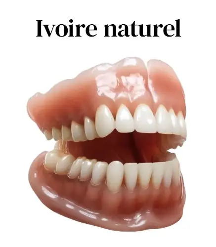 Prothèse Dentaire Complète Sur Mesure Haut de Gamme - Image 12