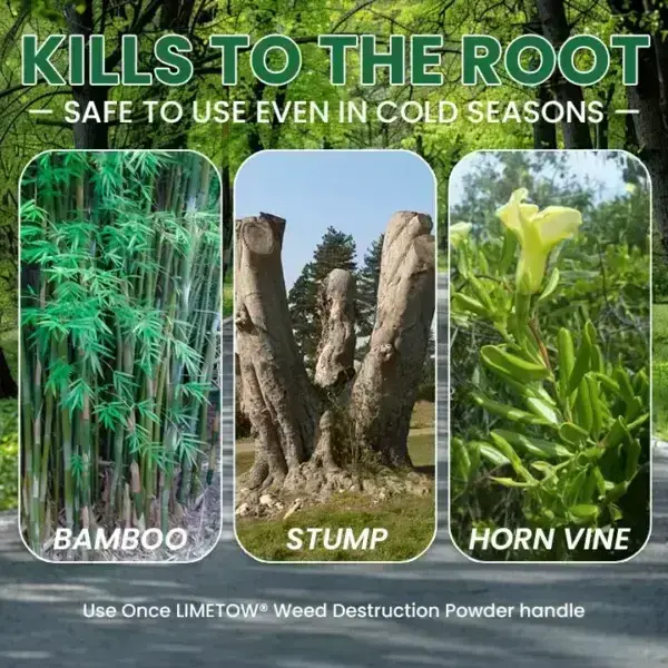 Kill Bamboo, Stumps & Invasive Weeds for Good – Root Killer Powder - Image 16