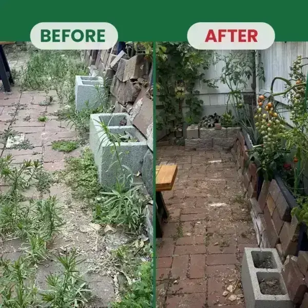 Kill Bamboo, Stumps & Invasive Weeds for Good – Root Killer Powder - Image 3