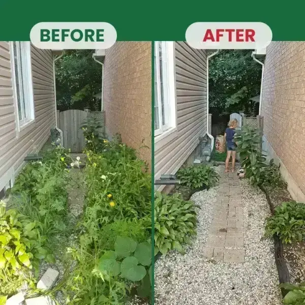 Kill Bamboo, Stumps & Invasive Weeds for Good – Root Killer Powder - Image 4