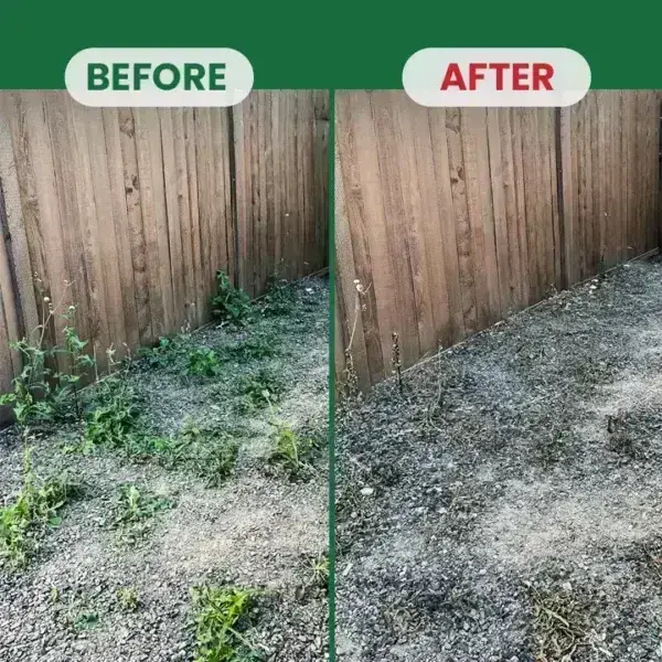 Kill Bamboo, Stumps & Invasive Weeds for Good – Root Killer Powder - Image 6