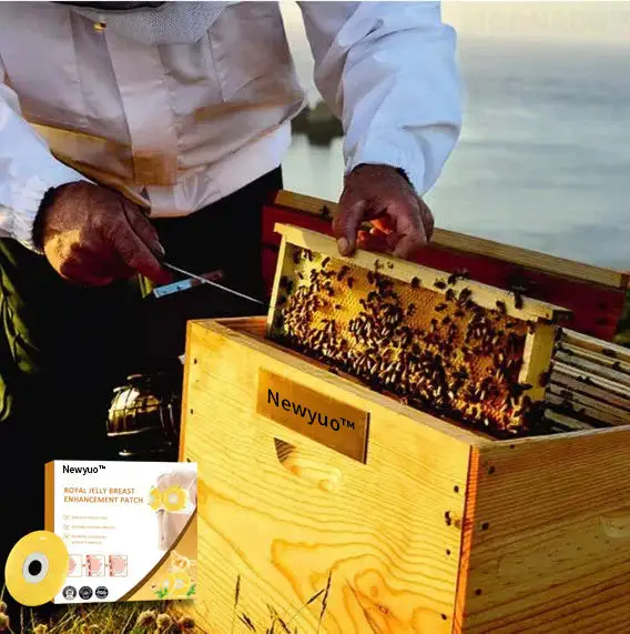 ๐น๐๐๐๐ ๐ฑ๐๐๐๐ ๐ฉ๐๐๐๐๐ ๐ฌ๐๐๐๐๐๐๐๐๐๐ ๐ท๐๐๐๐ - Image 12