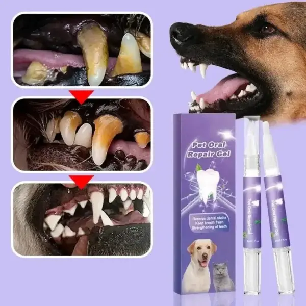 Pet Oral Repair Gel – Freshen Your Pet’s Breath & Improve Gum Health Fast! - Image 6