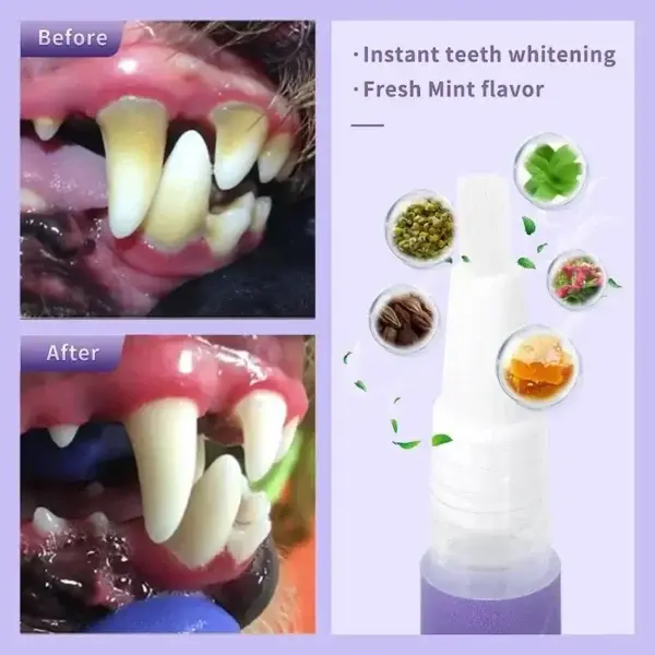 Pet Oral Repair Gel – Freshen Your Pet’s Breath & Improve Gum Health Fast! - Image 9