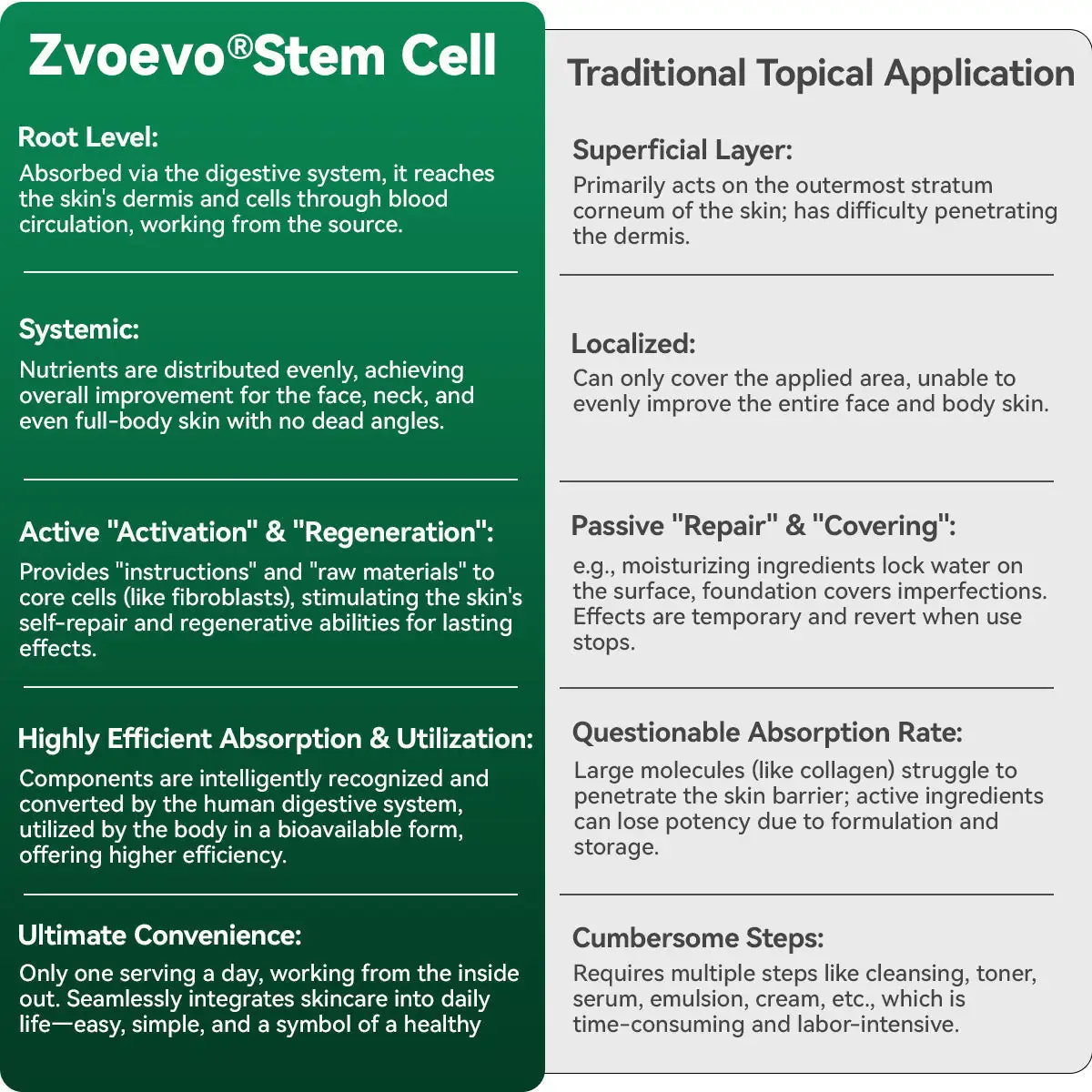 ๐๐ก๐๐ ๐ถ๐๐๐ & ๐ถ๐๐๐๐๐๐๐ ๐๐๐๐ก๐๐๐ ๐๐๐๐ ๐ท๐๐๐๐ - Image 8