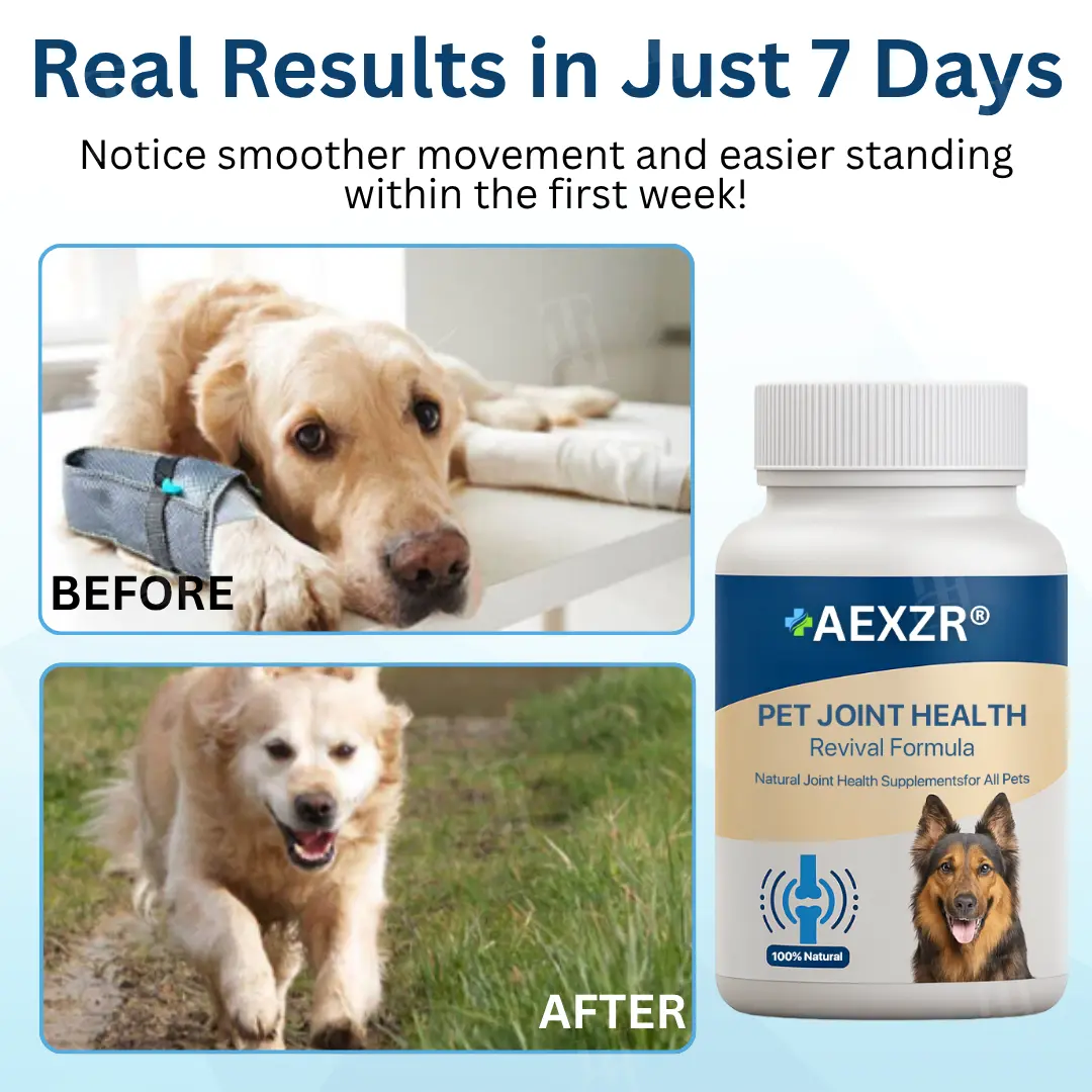 Pet Joint Health Revival Formula - Image 2