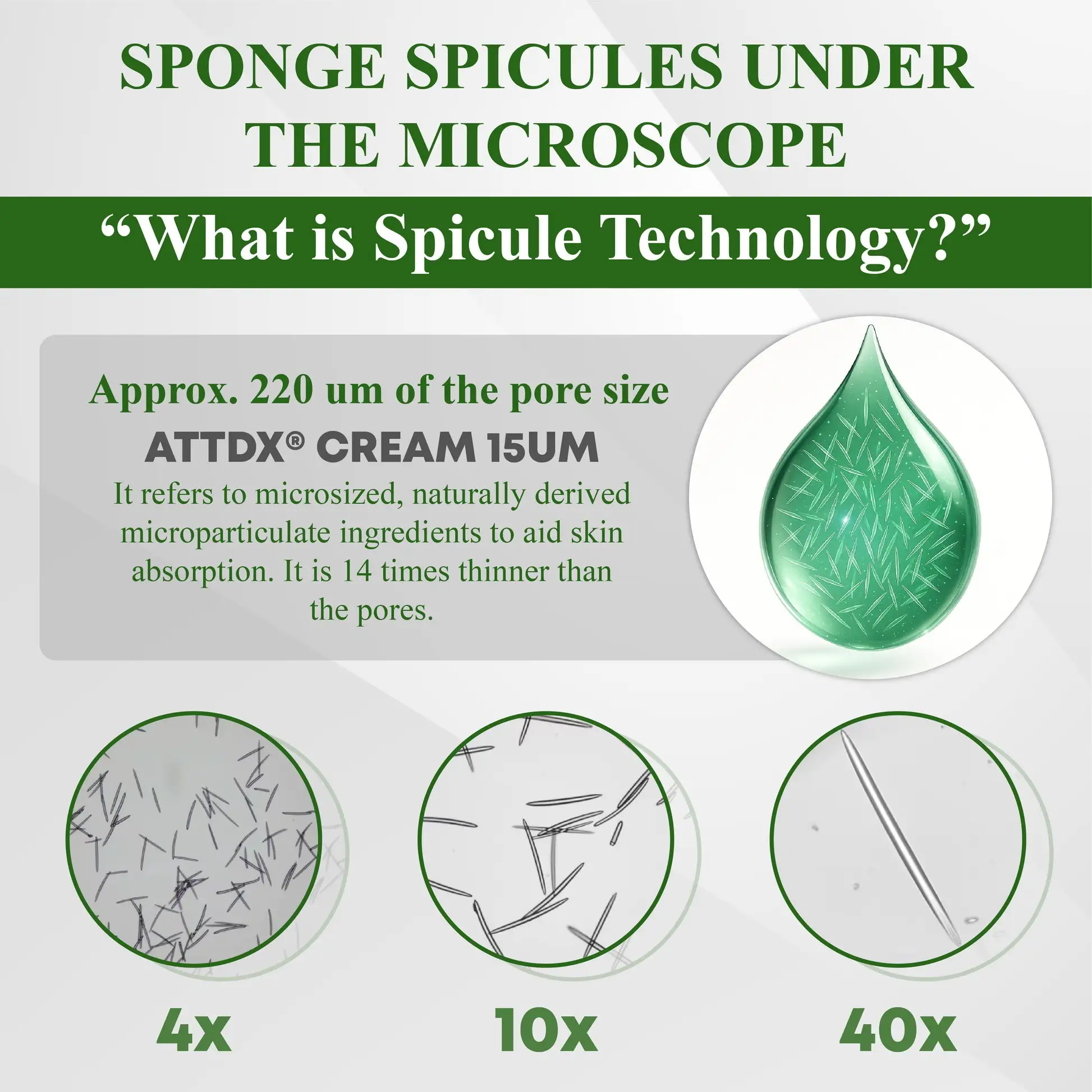 SpiculeFlow Advanced Edema Drainage Cream - Image 7