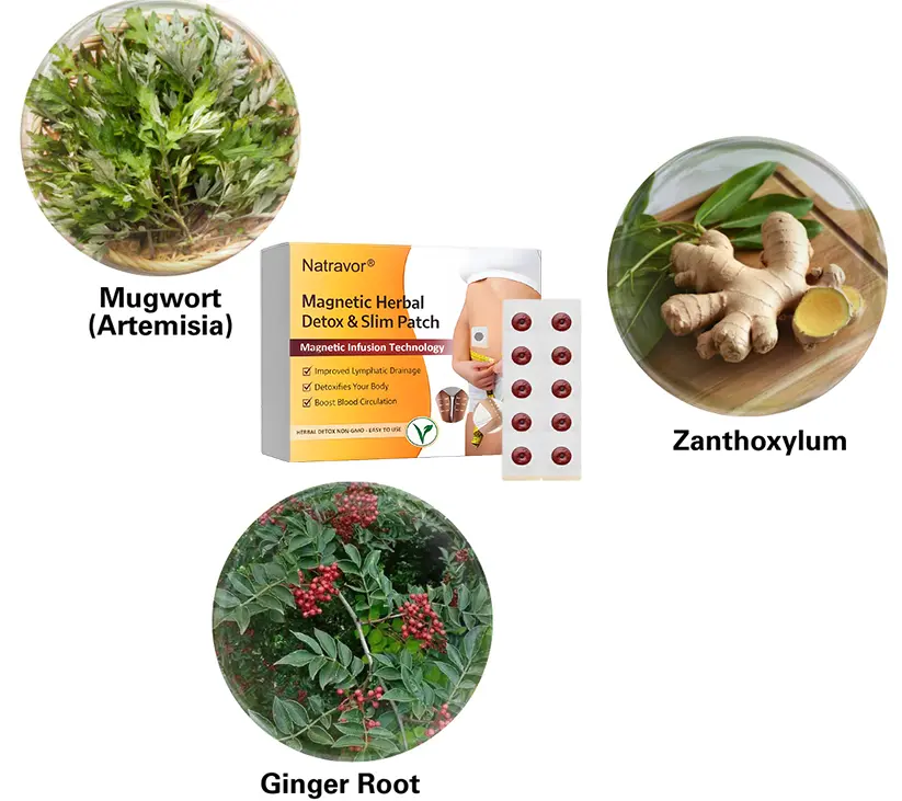 Magnetic Herbal Detox & Slim Patch - Image 9