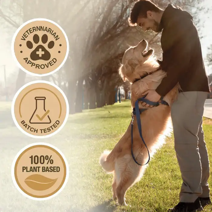 Joint Rejuvenation Drops - Image 6