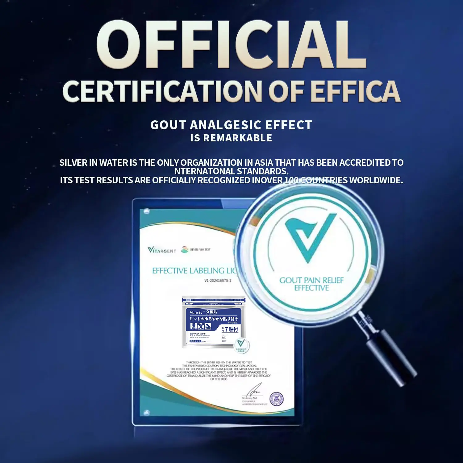 Back Pain Patch Natural Pain Relief Patches - Image 19