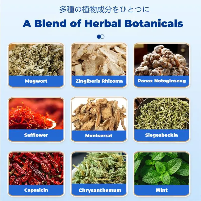 Back Pain Patch Natural Pain Relief Patches - Image 14