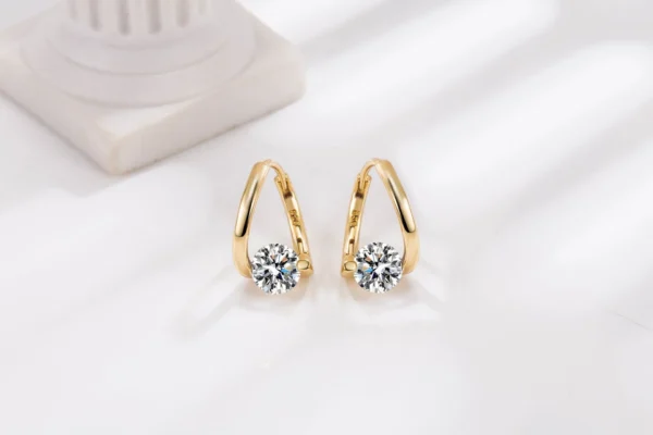 Lymphvity MagneTherapy Germanium Earrings - Image 4