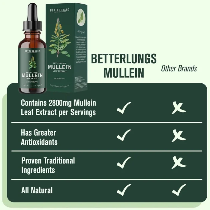 BetterLungs Mullein Leaf Extract - Image 5