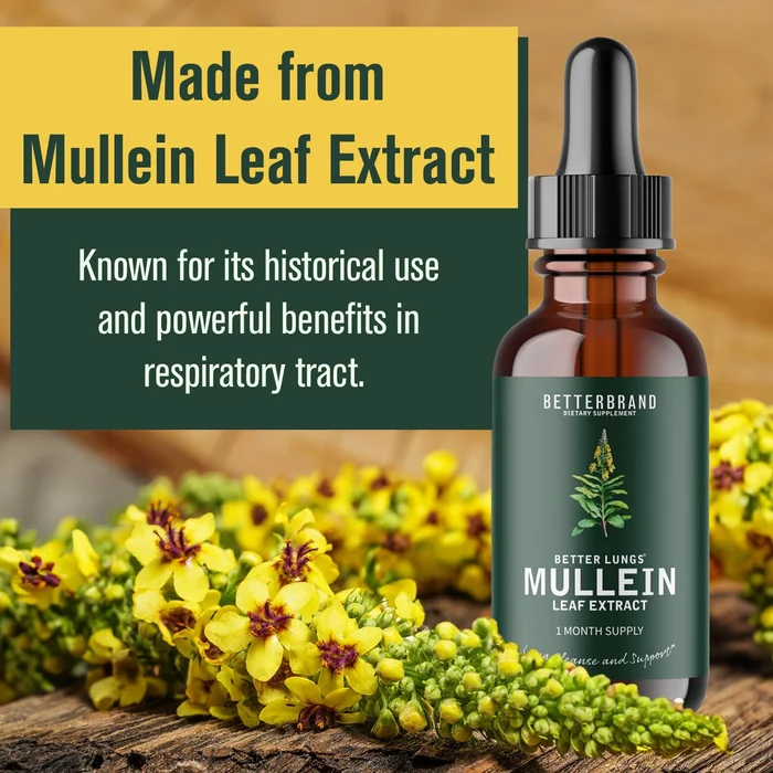 BetterLungs Mullein Leaf Extract - Image 3