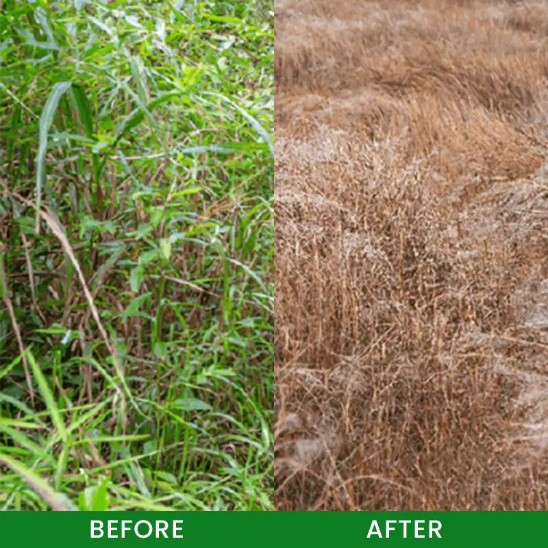 Cyclosinone Herbicide Granules - Image 10