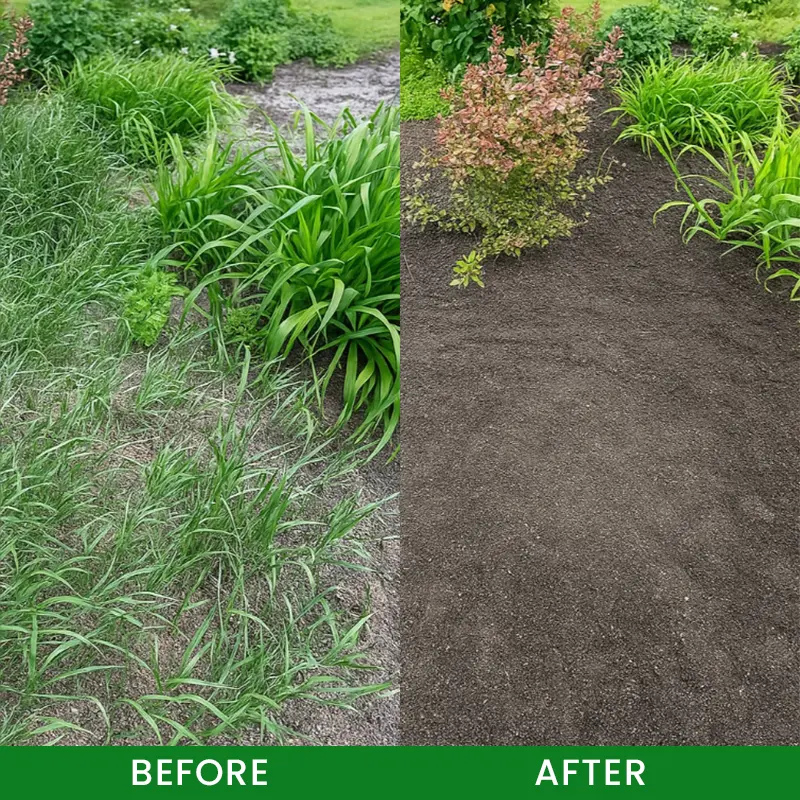 Cyclosinone Herbicide Granules - Image 11