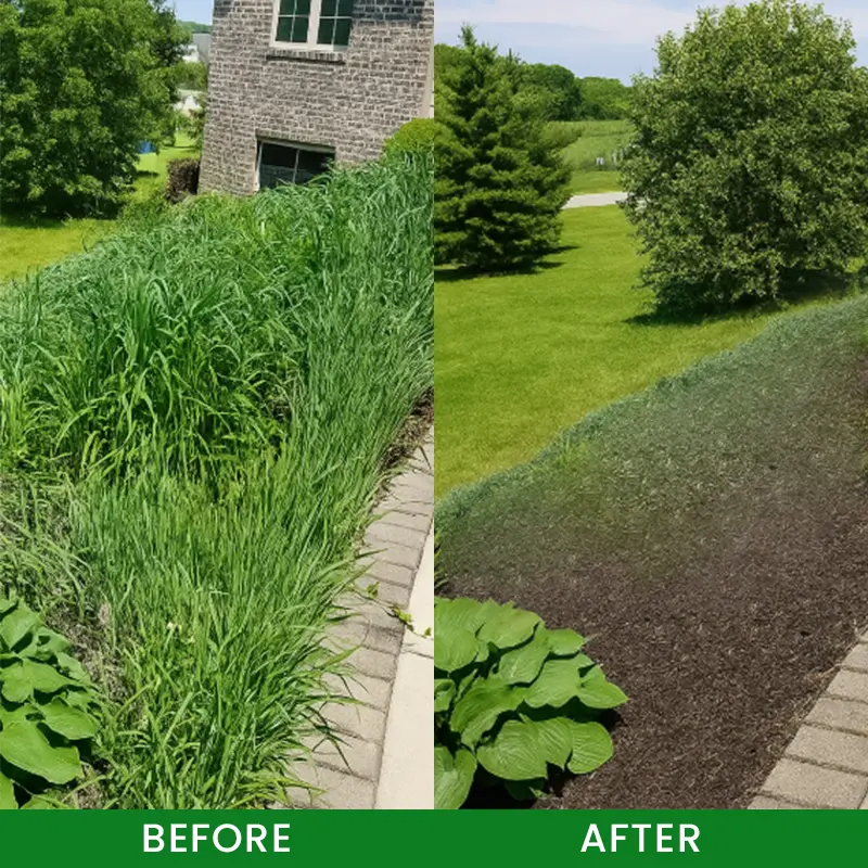 Cyclosinone Herbicide Granules - Image 13