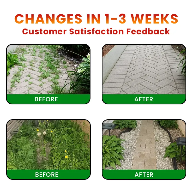 Cyclosinone Herbicide Granules - Image 3