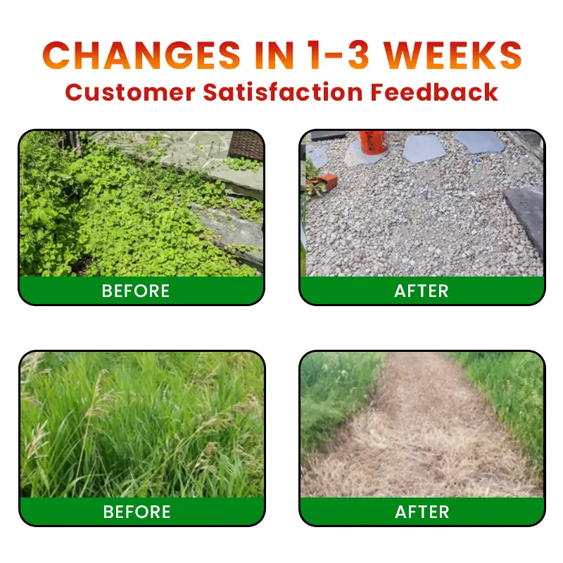 Cyclosinone Herbicide Granules - Image 4