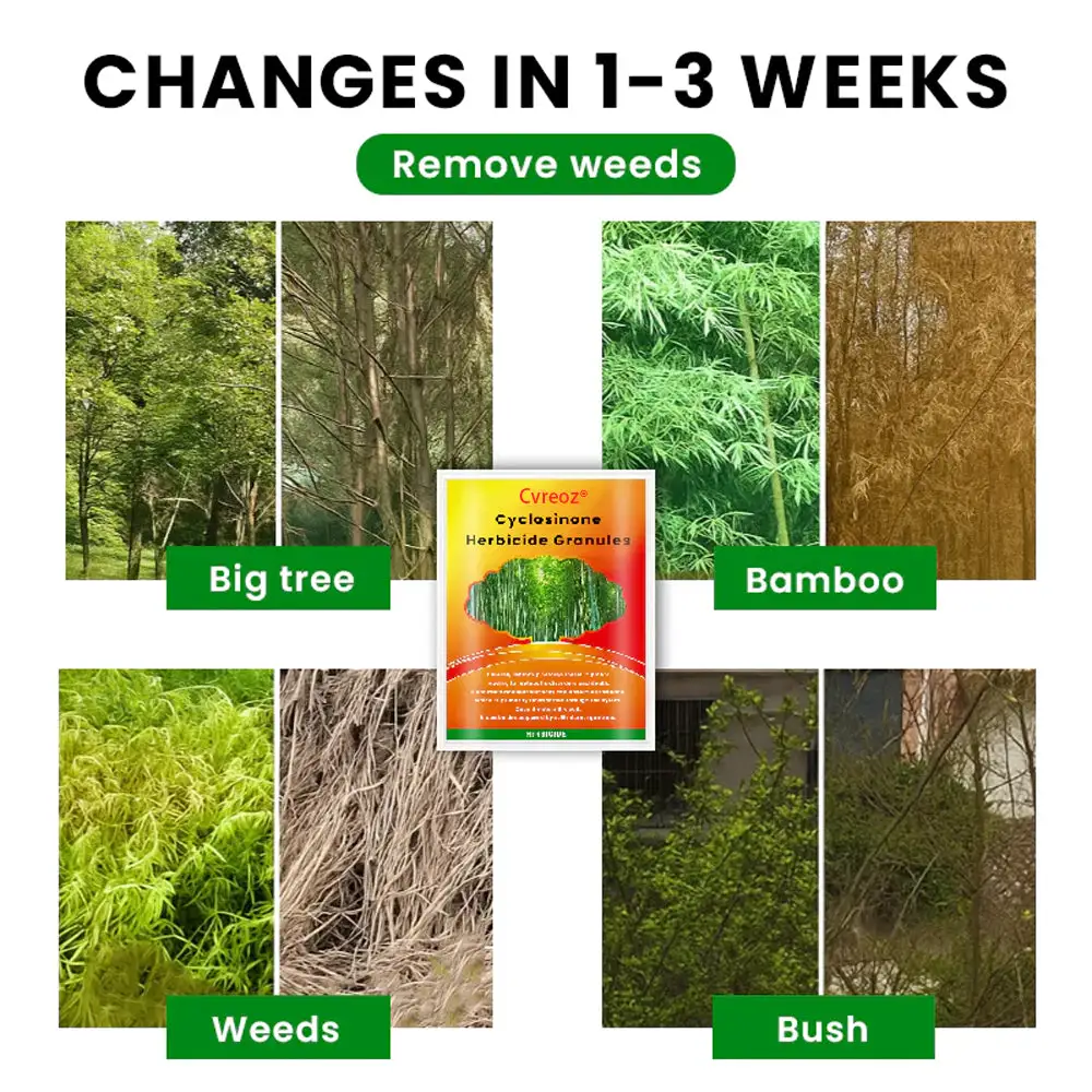 Cyclosinone Herbicide Granules - Image 6