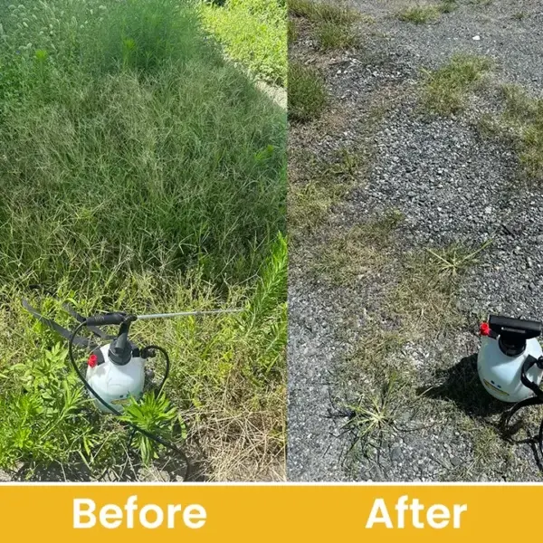 Glufosinate Ammonium Salt Herbicide Agent - Image 13