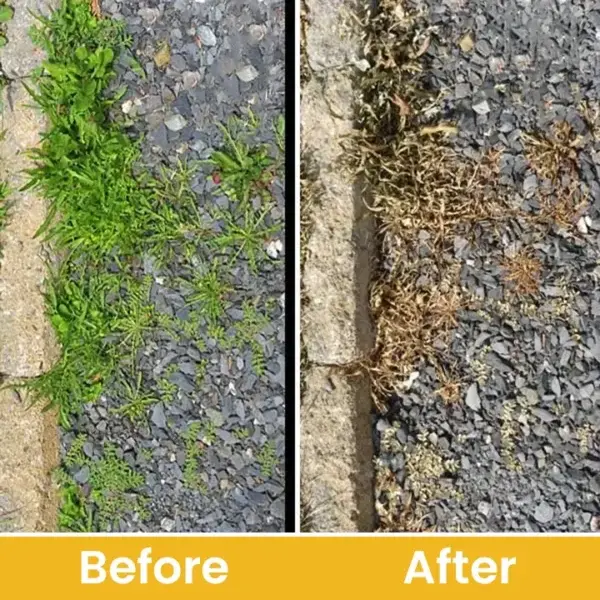 Glufosinate Ammonium Salt Herbicide Agent - Image 14