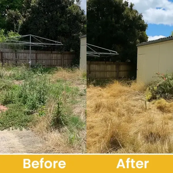 Glufosinate Ammonium Salt Herbicide Agent - Image 15