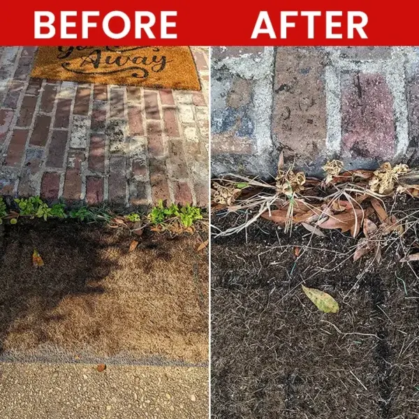 Weed Killer Spray - Image 10