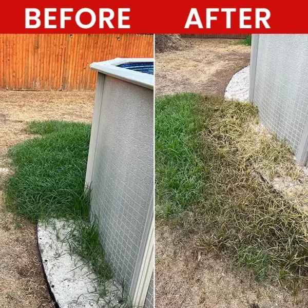 Weed Killer Spray - Image 11