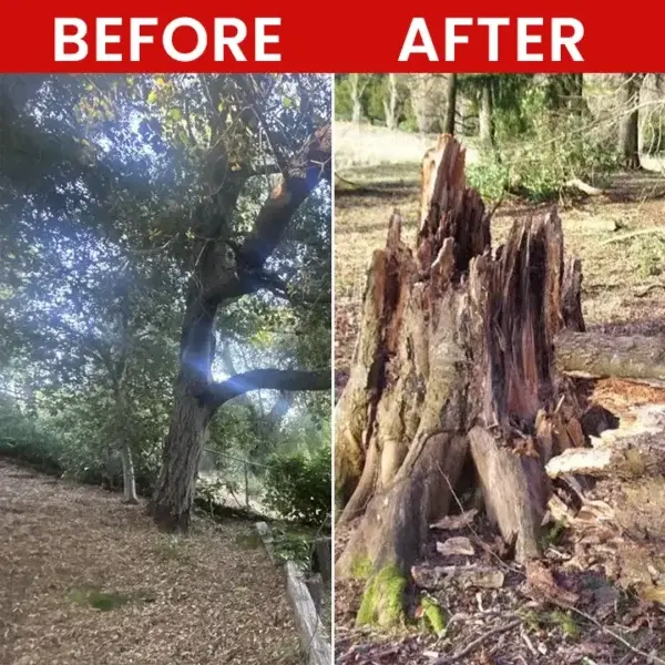 Weed Killer Spray - Image 13