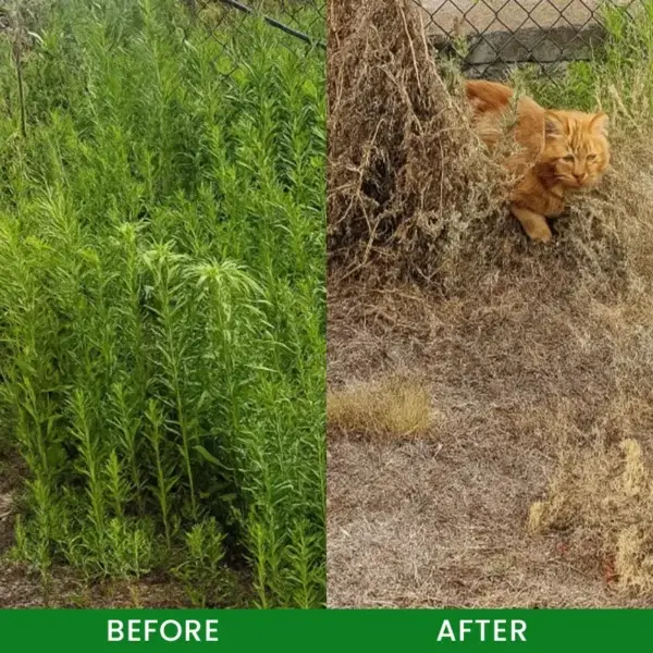 Weed Remover - Image 8