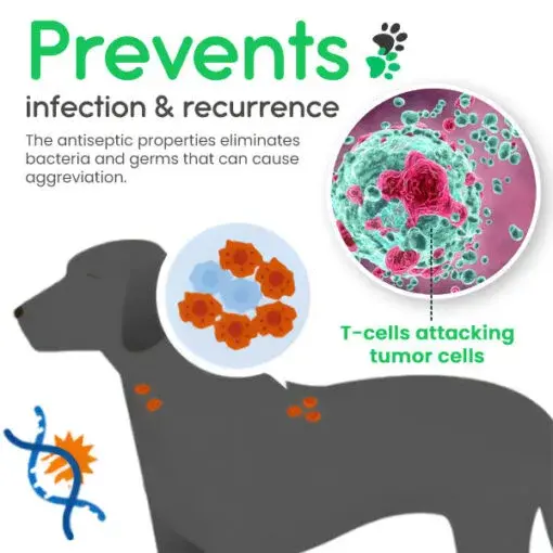 Kolirin Lumps & Bumps Pet Cream - Image 5