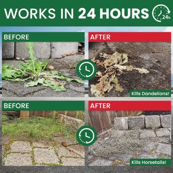 Weed Destruction Powder - Image 13