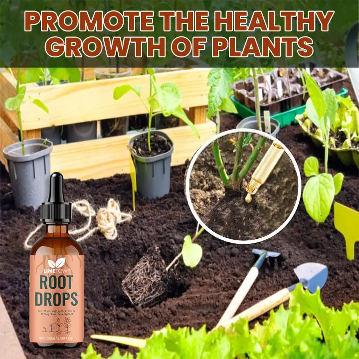 Root Drops - Image 10