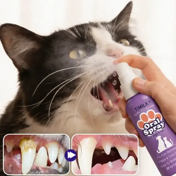 ZynPet Zinc-Gluconate Oral Spray - Image 10